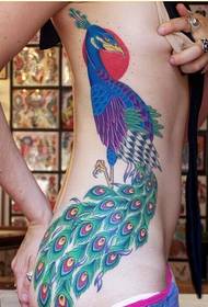 sexy female side Waist beautiful peacock tattoo pattern picture