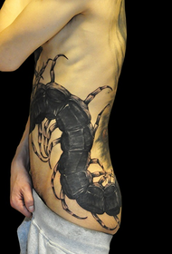 tatuagem masculina de cintura preta grande tatuagem 69536-cintura sexy anjo tatuagem padrão