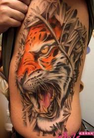 προσωπική πλευρά μόδας πλευρά αυταρχική τίγρης τατουάζ τατουάζ εικόνα εικόνα