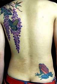 férfi vissza népszerű pop pillangó tetoválás