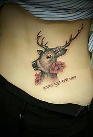girovita cervo con tatuaggio tatuaggio sanscrito