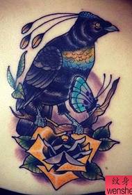 Tattoo show bar doporučuje boční pas barevný pták tetování vzor