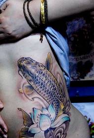 HD kineska tradicionalna slika tetovaže struka lignje