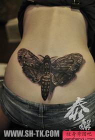 beauty waist ຄລາສສິກຮູບແບບ tattoo moth ເຢັນ