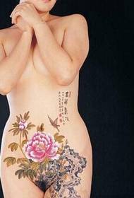 sexy knabina talio eleganta rododendra tatuaje ŝablona bildo