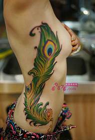 szépség páva toll derék szexi tetoválás kép