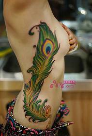 bote peacock plim senti sexy foto tatoo
