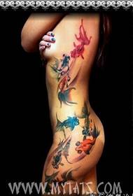 bellezza sideways culore goldfish tatu di u mudellu