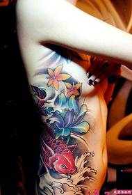 Kinesisk tradisjonell blekksprut lotusblomst tatovering bilde