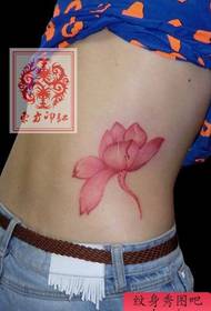 cintura de belleza Patrón de tatuaje de loto hermoso color popular
