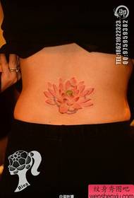 kagandahang baywang maganda maganda ang kulay rosas na lotus tattoo pattern