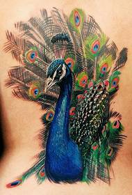 modello di tatuaggio in vita: modello di tatuaggio pavone di bellezza in vita colore