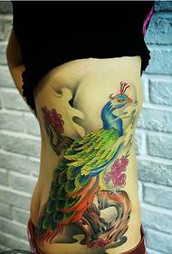 Bella e bella immagine del tatuaggio del pavone della vita laterale della ragazza di moda