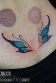 taille belle couleur papillon taille motif de tatouage