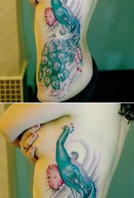 Chinese Peacock Sexy Waist Tattoo Picture