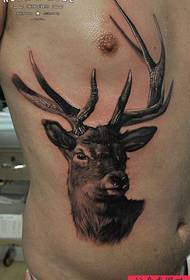 modello di tatuaggio antilope vita laterale