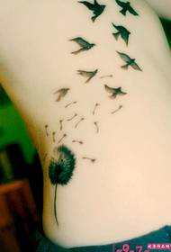 pictiúr álainn tattoo éan dandelion choim