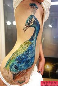 A figura do tatuaje recomendou que a muller traia o taco do pavo real