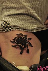 vyötärö dominoiva hämähäkki tatuointi kuva