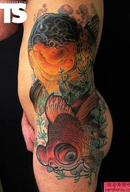 tatuaggio di pesci creativi in vita funziona