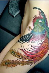 sexy Schéinheets Taille schéin Phoenix Tattoo Bild