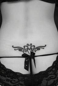 immagine sexy del tatuaggio del tengtu di bella forma sexy della vita della ragazza bella