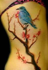 Super seksīga skaistuma vidukļa putnu plūmju tetovējuma attēls