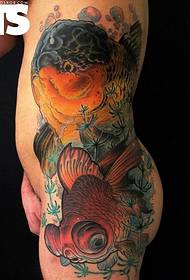 waist person fish tattoo ຮູບພາບຮູບແບບ