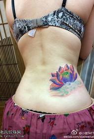U tatuu di donna in colori in cintura funziona in sala di tatuaggi