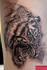 tattoo show tattoo Mufananidzo wakakurudzira chikamu chechiuno dema uye chena tiger tattoo inoshanda