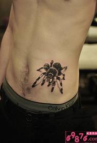 Taille Seite Spinne Tattoo Bild