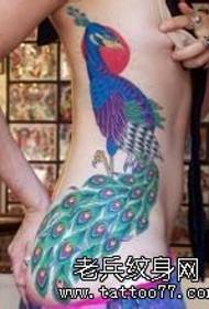 Kvinnors midja färg påfågel tatuering fungerar