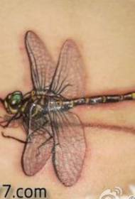 bella libellula modello di tatuaggio