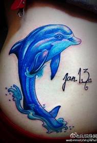 美腰美麗的顏色海豚紋身圖案