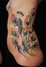 tattoo figure recommended a woman's side waist color peacock tattoo works