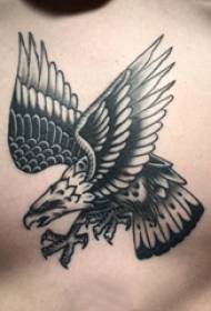 model tatuazhesh shqiponje djemtë mbrapa modelin e tatuazheve me shqiponjë