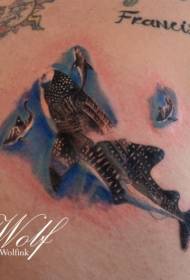 modello di tatuaggio squalo tigre colorato in stile realistico posteriore