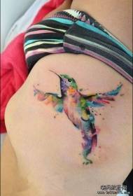 kolor tyłu Rozpryskujący wzór tatuażu kolibra