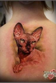 modello di tatuaggio gatto glabro incolore realistico realistico posteriore