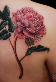 modello classico tatuaggio rosa fiore dipinto indietro