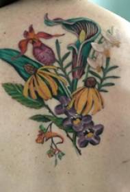 biljka tetovaža djevojka natrag biljka slika tetovaža