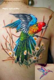 back realistic style very realistic parrot and flower tattoo pattern