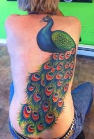 djevojke natrag nevjerojatne šarene divne paunove tetovaže uzorak