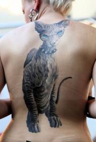 girls back realistic blue-eyed hairless cat tattoo pattern