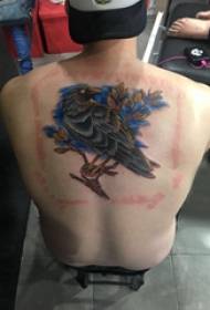 Tattoo ptica moški hrbtna slika tatoo slike