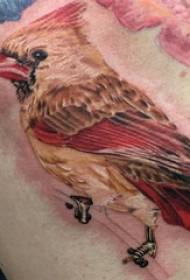 lintu tatuointi uros takana lintu tatuointi kuva