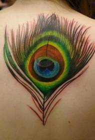 назад красивый красочный рисунок татуировки перо павлина