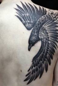 modello di tatuaggio corvo squisita back school