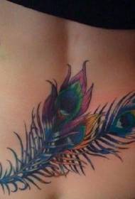 derék színű gyönyörű páva toll tetoválás minta