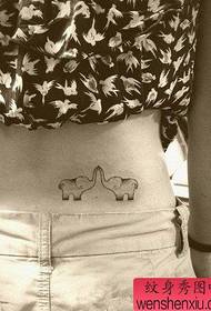 tjejer midja söt elefant tatuering mönster